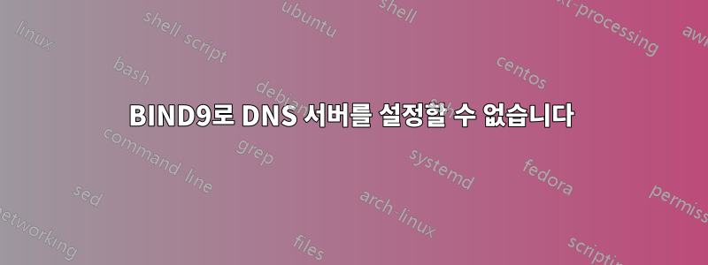 BIND9로 DNS 서버를 설정할 수 없습니다