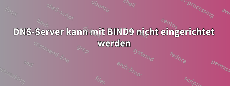 DNS-Server kann mit BIND9 nicht eingerichtet werden