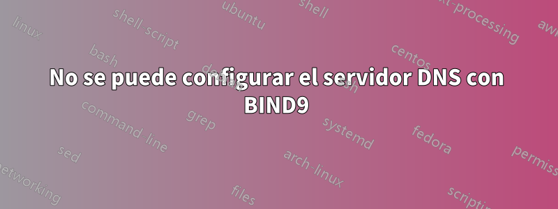 No se puede configurar el servidor DNS con BIND9