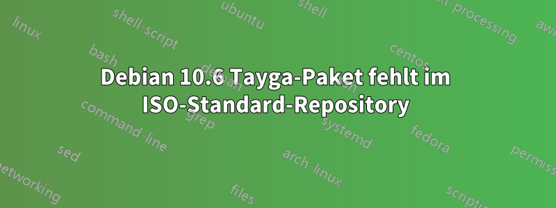 Debian 10.6 Tayga-Paket fehlt im ISO-Standard-Repository