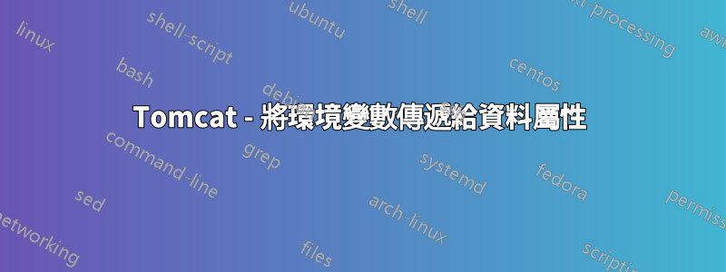 Tomcat - 將環境變數傳遞給資料屬性