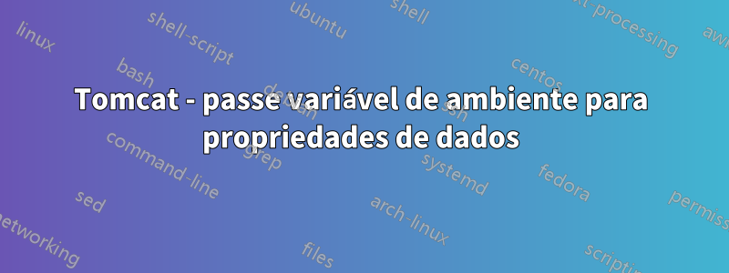 Tomcat - passe variável de ambiente para propriedades de dados