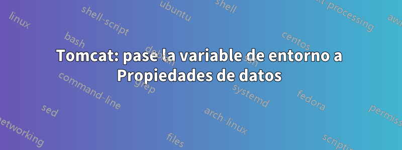 Tomcat: pase la variable de entorno a Propiedades de datos