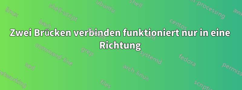 Zwei Brücken verbinden funktioniert nur in eine Richtung