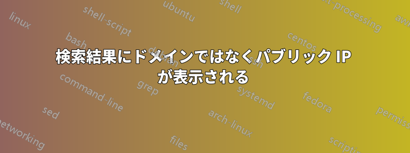 検索結果にドメインではなくパブリック IP が表示される