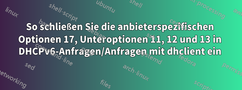 So schließen Sie die anbieterspezifischen Optionen 17, Unteroptionen 11, 12 und 13 in DHCPv6-Anfragen/Anfragen mit dhclient ein