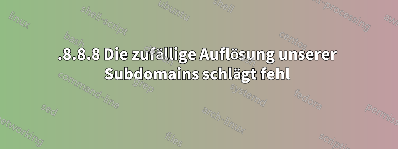 8.8.8.8 Die zufällige Auflösung unserer Subdomains schlägt fehl