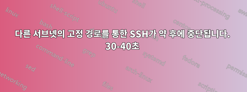 다른 서브넷의 고정 경로를 통한 SSH가 약 후에 중단됩니다. 30-40초