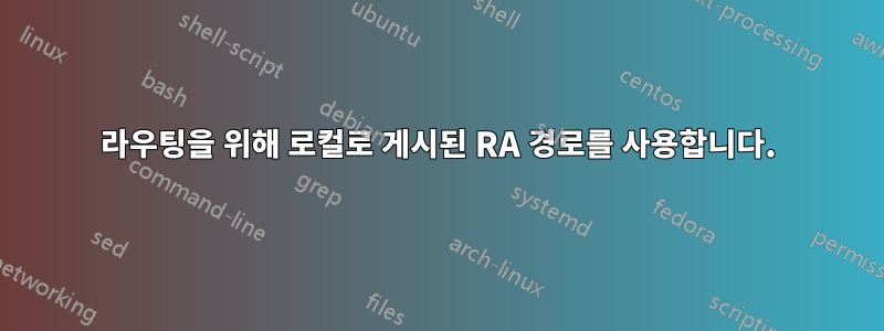 라우팅을 위해 로컬로 게시된 RA 경로를 사용합니다.