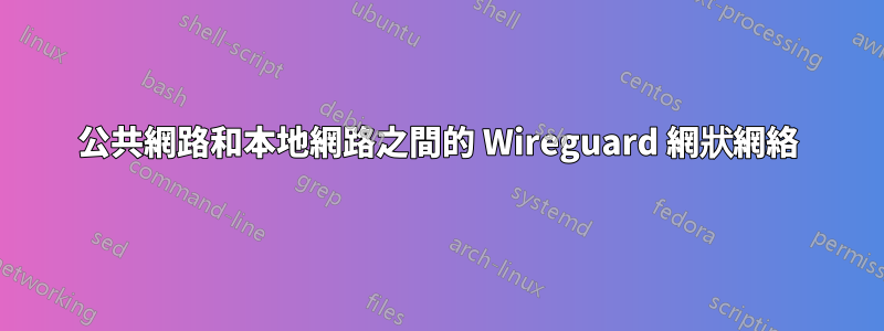 公共網路和本地網路之間的 Wireguard 網狀網絡