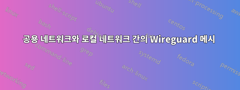 공용 네트워크와 로컬 네트워크 간의 Wireguard 메시