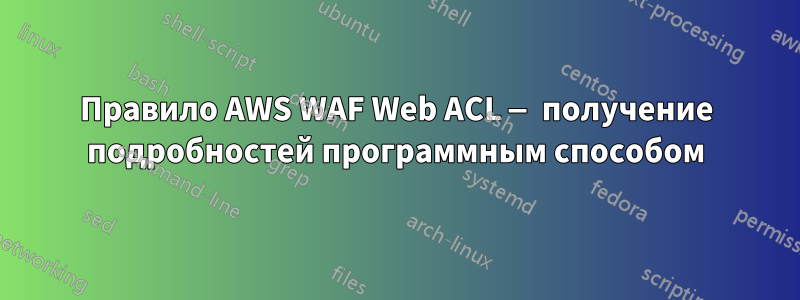 Правило AWS WAF Web ACL — получение подробностей программным способом