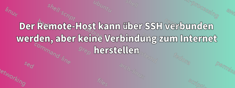 Der Remote-Host kann über SSH verbunden werden, aber keine Verbindung zum Internet herstellen