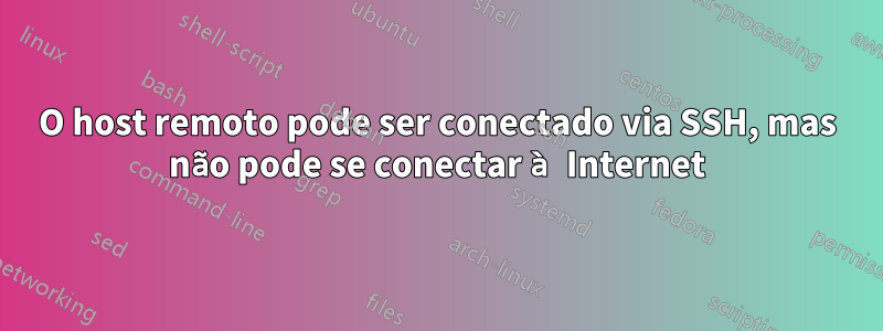 O host remoto pode ser conectado via SSH, mas não pode se conectar à Internet