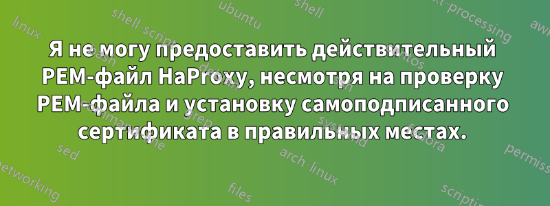 Я не могу предоставить действительный PEM-файл HaProxy, несмотря на проверку PEM-файла и установку самоподписанного сертификата в правильных местах.