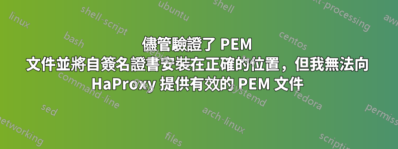 儘管驗證了 PEM 文件並將自簽名證書安裝在正確的位置，但我無法向 HaProxy 提供有效的 PEM 文件