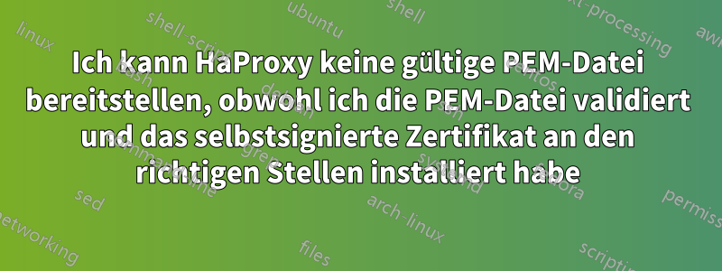 Ich kann HaProxy keine gültige PEM-Datei bereitstellen, obwohl ich die PEM-Datei validiert und das selbstsignierte Zertifikat an den richtigen Stellen installiert habe