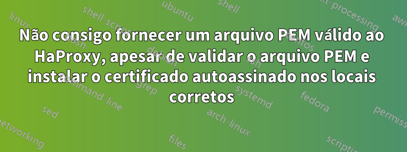 Não consigo fornecer um arquivo PEM válido ao HaProxy, apesar de validar o arquivo PEM e instalar o certificado autoassinado nos locais corretos