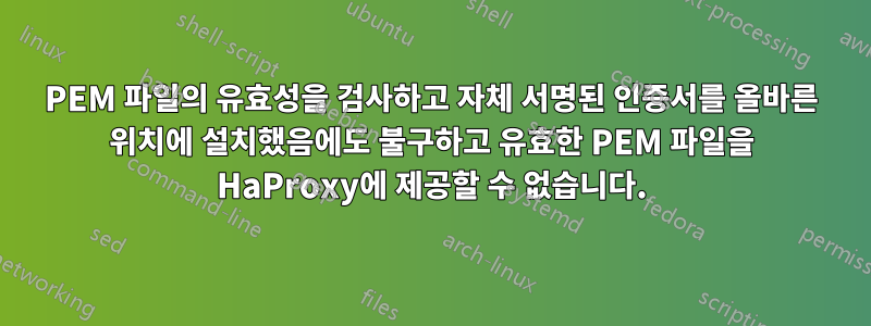 PEM 파일의 유효성을 검사하고 자체 서명된 인증서를 올바른 위치에 설치했음에도 불구하고 유효한 PEM 파일을 HaProxy에 제공할 수 없습니다.