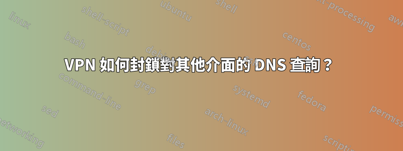 VPN 如何封鎖對其他介面的 DNS 查詢？