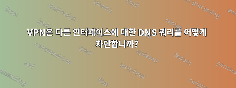 VPN은 다른 인터페이스에 대한 DNS 쿼리를 어떻게 차단합니까?