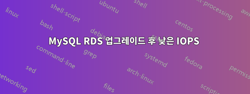 MySQL RDS 업그레이드 후 낮은 IOPS