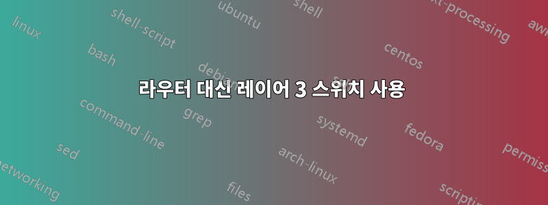 라우터 대신 레이어 3 스위치 사용