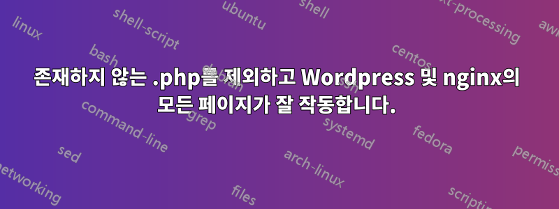 존재하지 않는 .php를 제외하고 Wordpress 및 nginx의 모든 페이지가 잘 작동합니다.