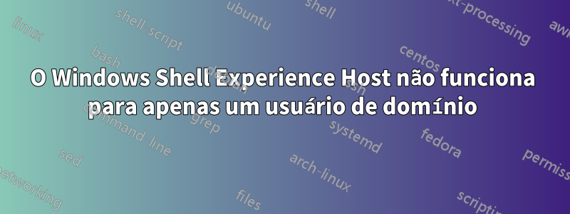 O Windows Shell Experience Host não funciona para apenas um usuário de domínio