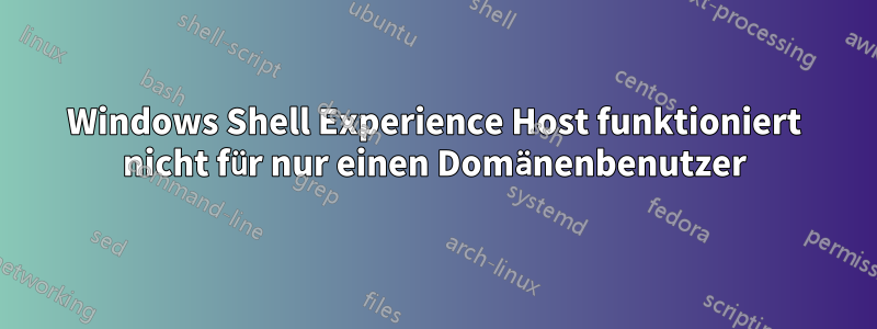 Windows Shell Experience Host funktioniert nicht für nur einen Domänenbenutzer