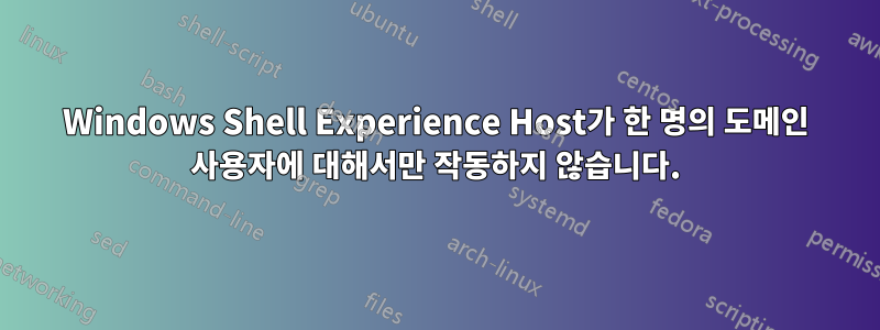 Windows Shell Experience Host가 한 명의 도메인 사용자에 대해서만 작동하지 않습니다.