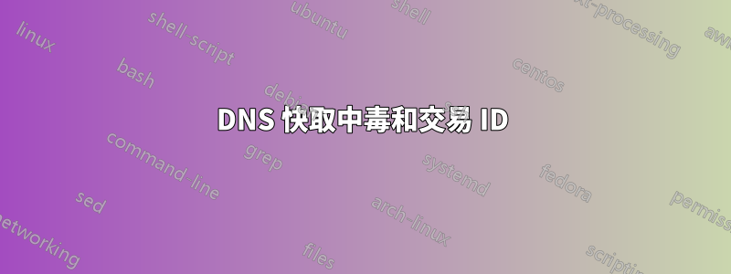 DNS 快取中毒和交易 ID