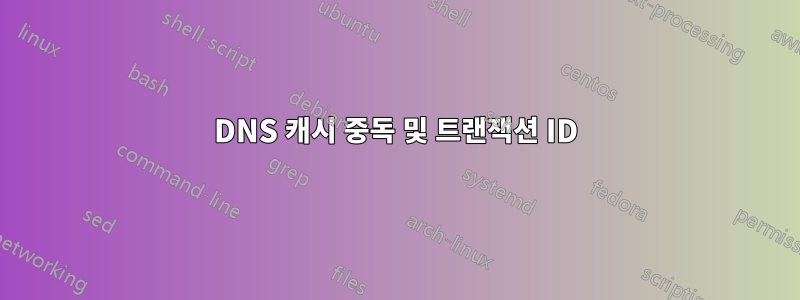 DNS 캐시 중독 및 트랜잭션 ID