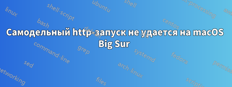 Самодельный http-запуск не удается на macOS Big Sur 