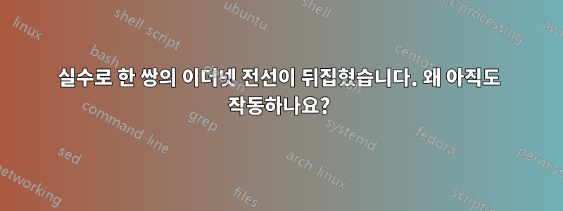 실수로 한 쌍의 이더넷 전선이 뒤집혔습니다. 왜 아직도 작동하나요?