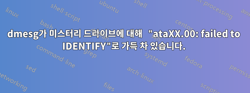 dmesg가 미스터리 드라이브에 대해 "ataXX.00: failed to IDENTIFY"로 가득 차 있습니다.