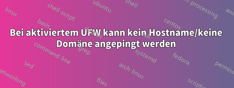 Bei aktiviertem UFW kann kein Hostname/keine Domäne angepingt werden