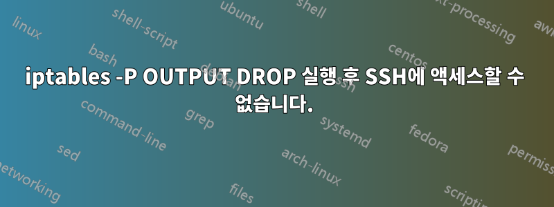 iptables -P OUTPUT DROP 실행 후 SSH에 액세스할 수 없습니다.