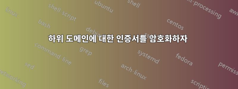 하위 도메인에 대한 인증서를 암호화하자