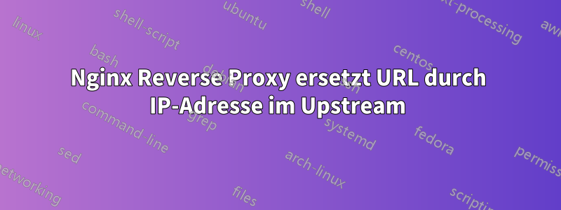 Nginx Reverse Proxy ersetzt URL durch IP-Adresse im Upstream