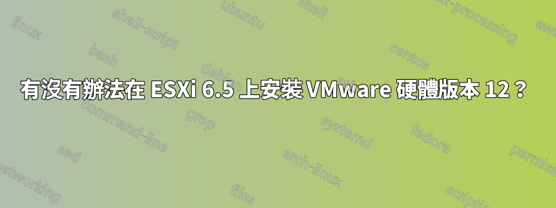 有沒有辦法在 ESXi 6.5 上安裝 VMware 硬體版本 12？