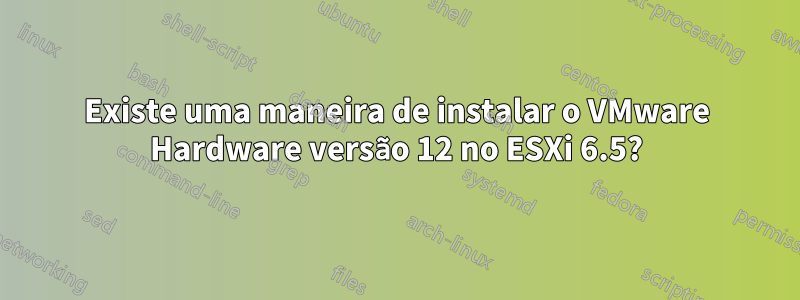 Existe uma maneira de instalar o VMware Hardware versão 12 no ESXi 6.5?