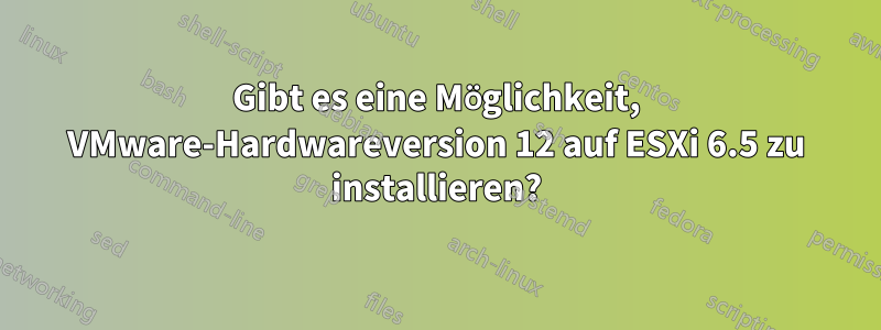 Gibt es eine Möglichkeit, VMware-Hardwareversion 12 auf ESXi 6.5 zu installieren?