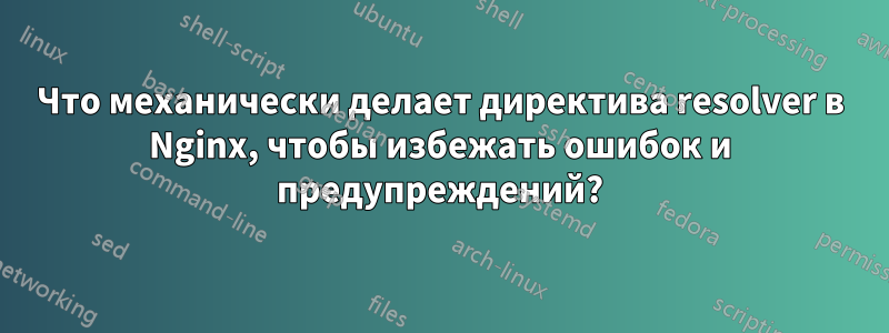 Что механически делает директива resolver в Nginx, чтобы избежать ошибок и предупреждений?