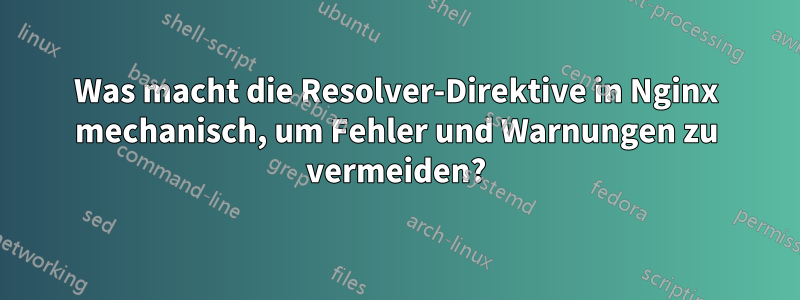 Was macht die Resolver-Direktive in Nginx mechanisch, um Fehler und Warnungen zu vermeiden?