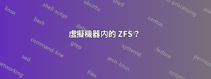 虛擬機器內的 ZFS？