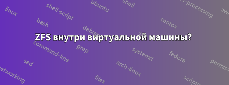 ZFS внутри виртуальной машины?