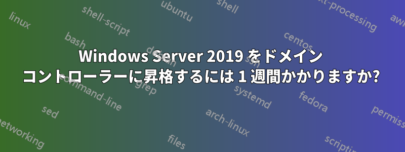 Windows Server 2019 をドメイン コントローラーに昇格するには 1 週間かかりますか?