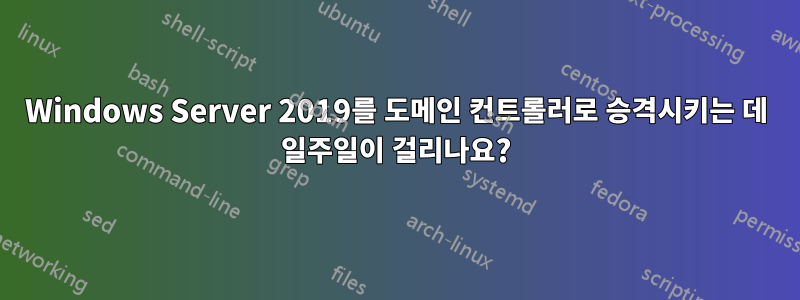 Windows Server 2019를 도메인 컨트롤러로 승격시키는 데 일주일이 걸리나요?