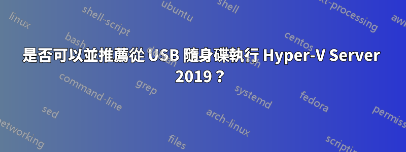 是否可以並推薦從 USB 隨身碟執行 Hyper-V Server 2019？